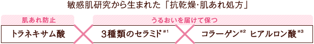 40年の敏感肌研究から生まれた「抗乾燥・肌あれ処方」