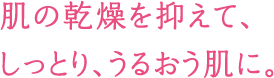 肌の乾燥を抑えて、しっとり、うるおう肌に。