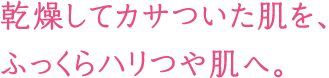 乾燥してカサついた肌を、ふっくらハリつや肌へ。