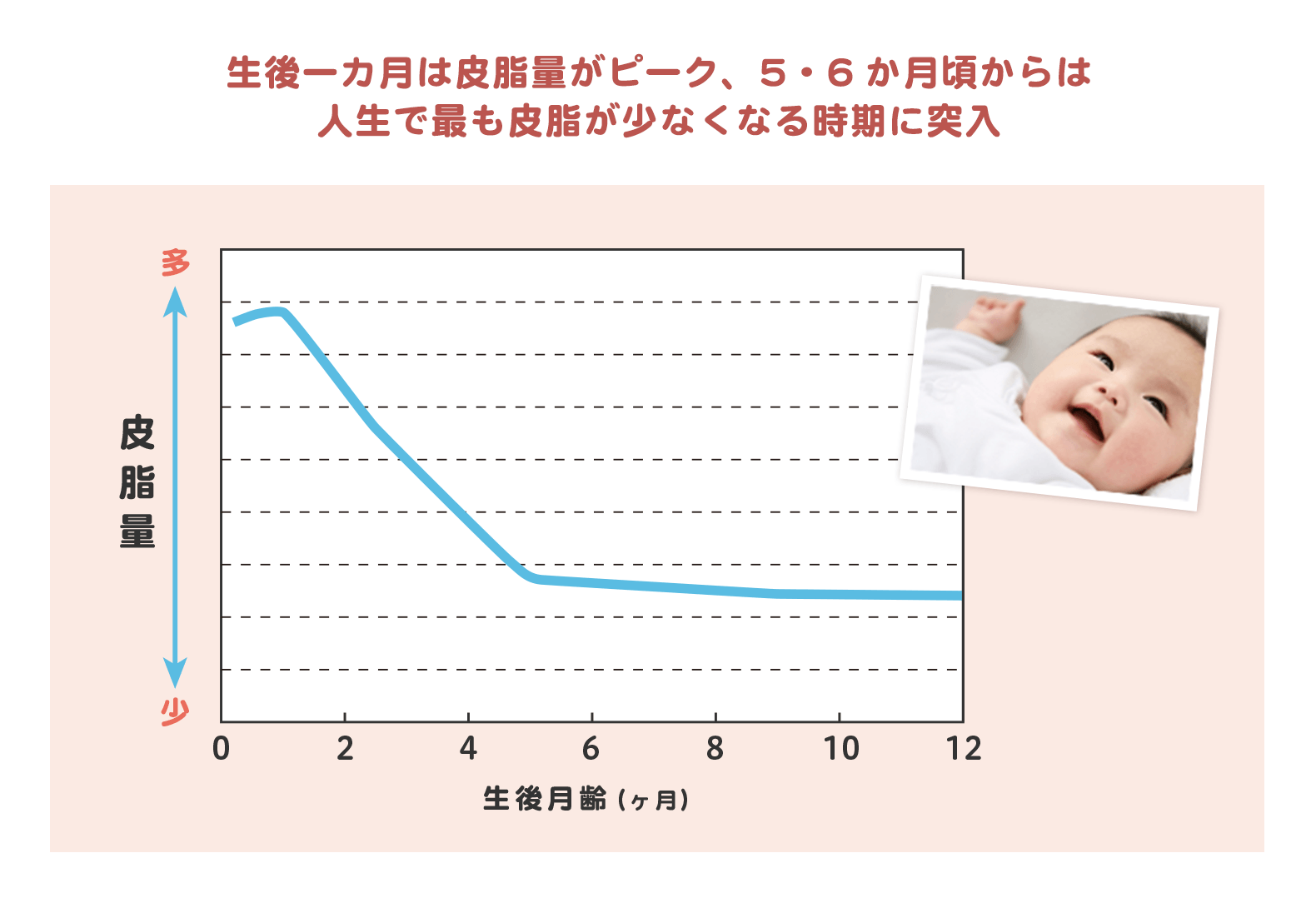 生後一カ月は皮脂量がピーク、5・6か月頃からは
人生で最も皮脂が少なくなる時期に突入