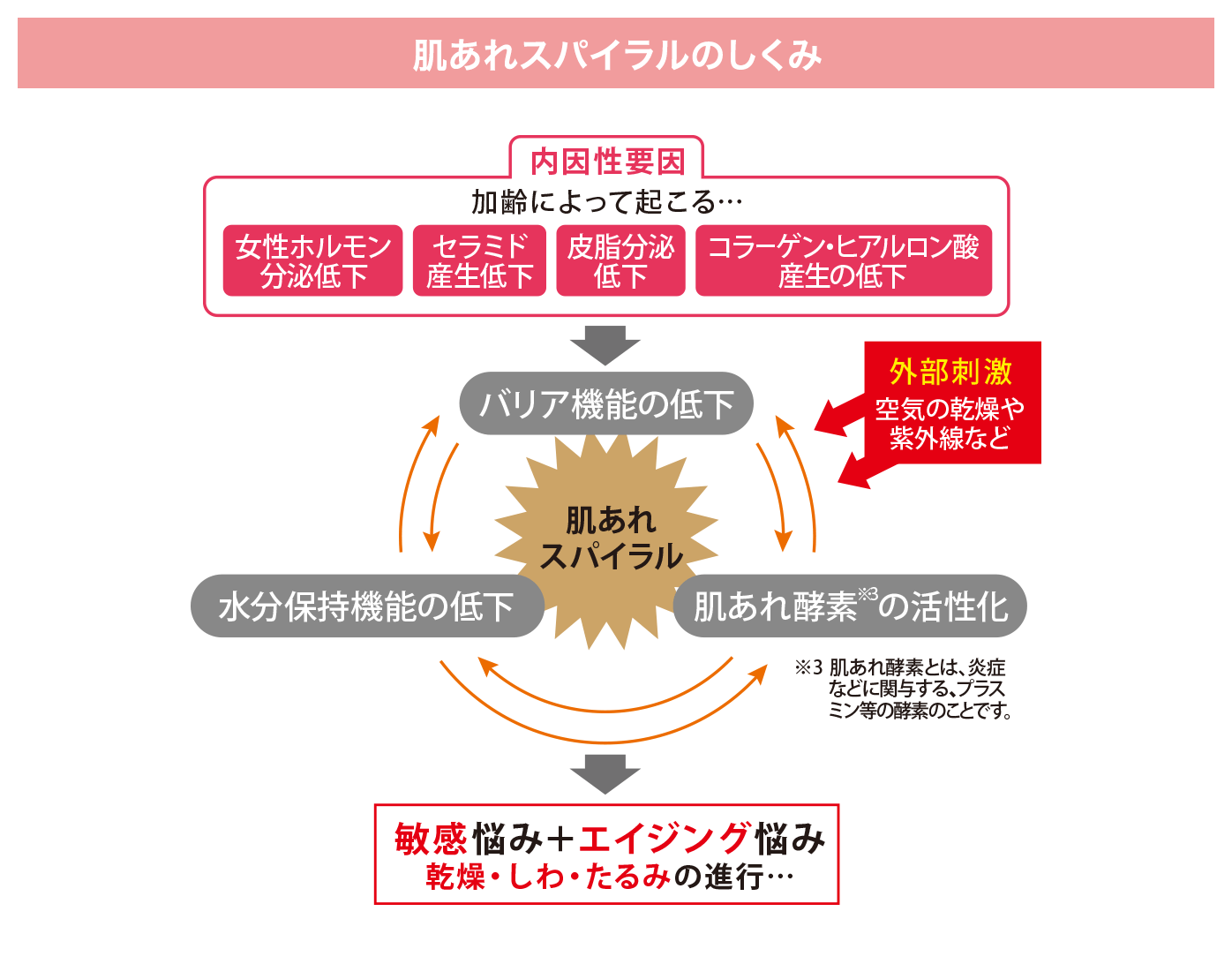 肌あれスパイラルのしくみ