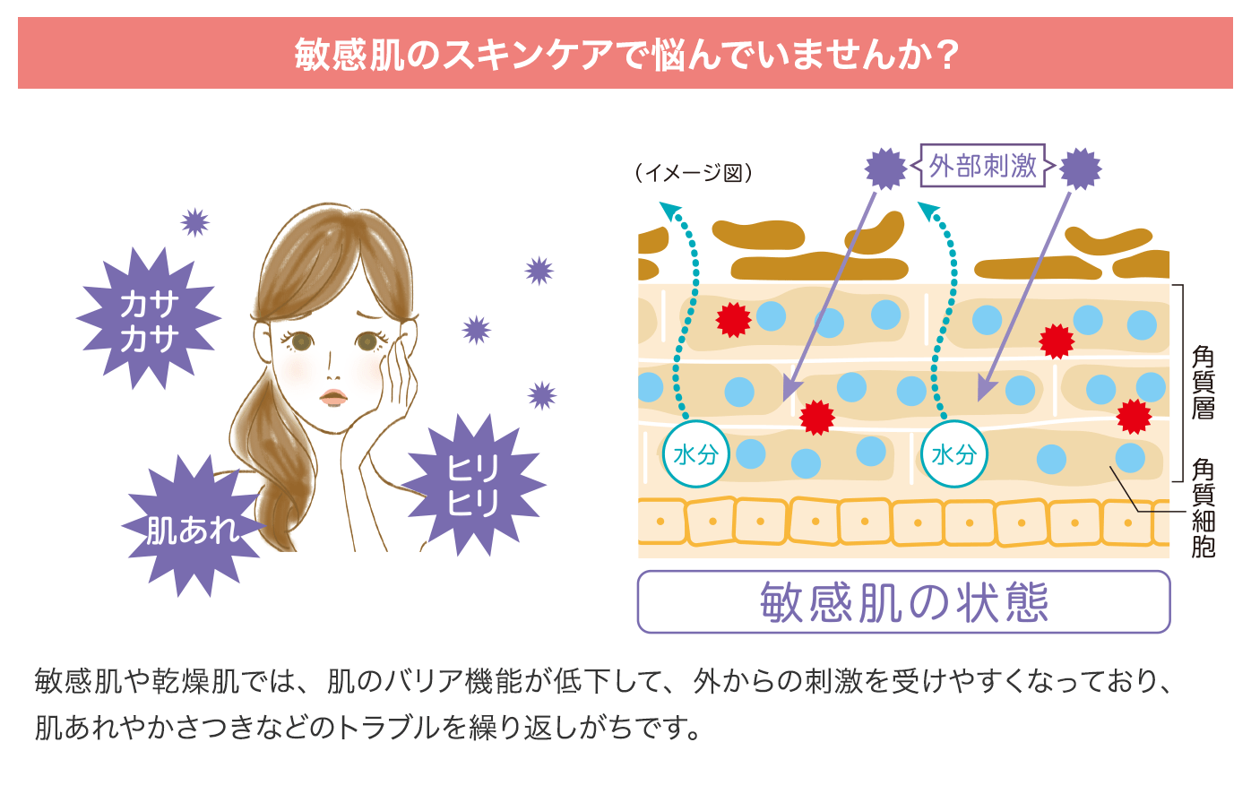 敏感肌のスキンケアで悩んでいませんか？：敏感肌や乾燥肌では、肌のバリア機能が低下して、外からの刺激を受けやすくなっており、肌あれやかさつきなどのトラブルを繰り返しがちです。