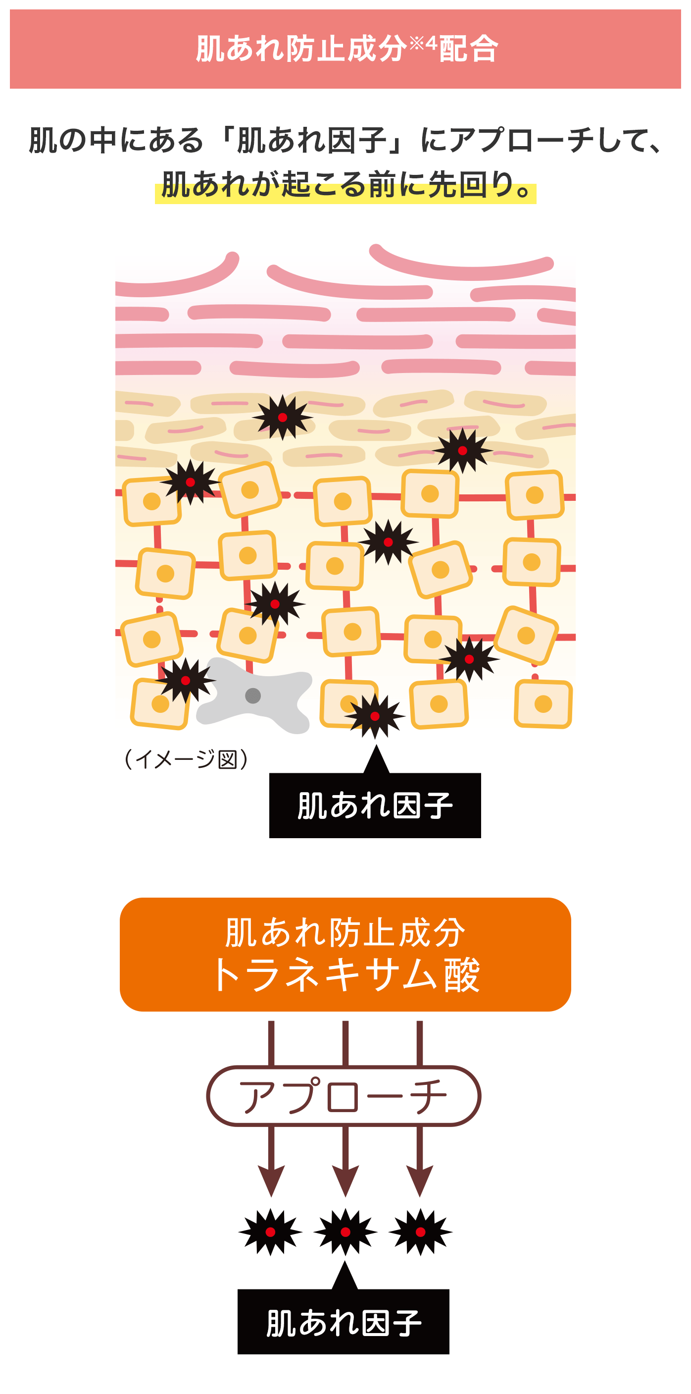 コラージュリペア化粧品|【公式】持田ヘルスケアのオンライン
