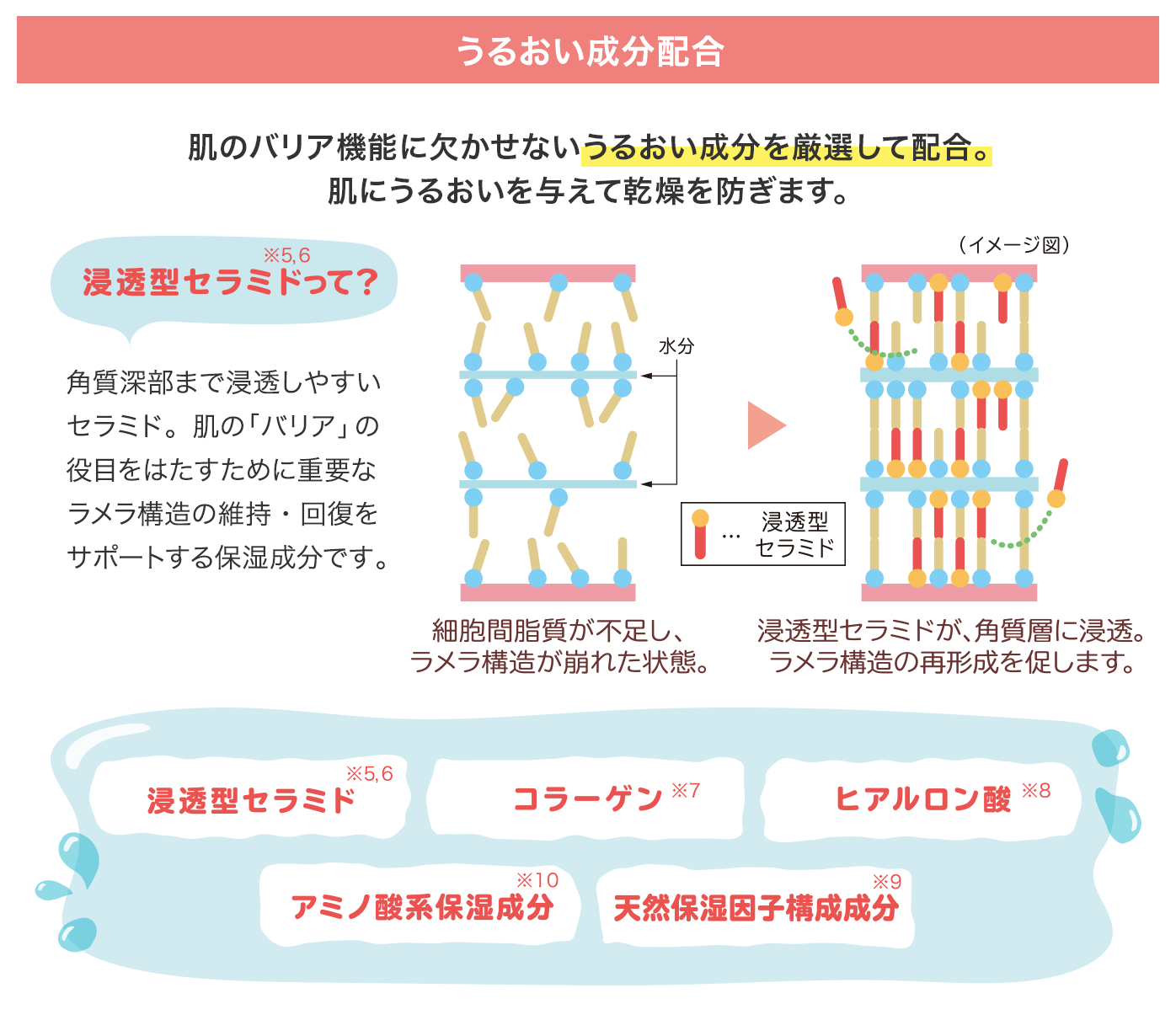 うるおい成分配合：肌のバリア機能に欠かせないうるおい成分を厳選して配合。肌にうるおいを与えて乾燥を防ぎます。