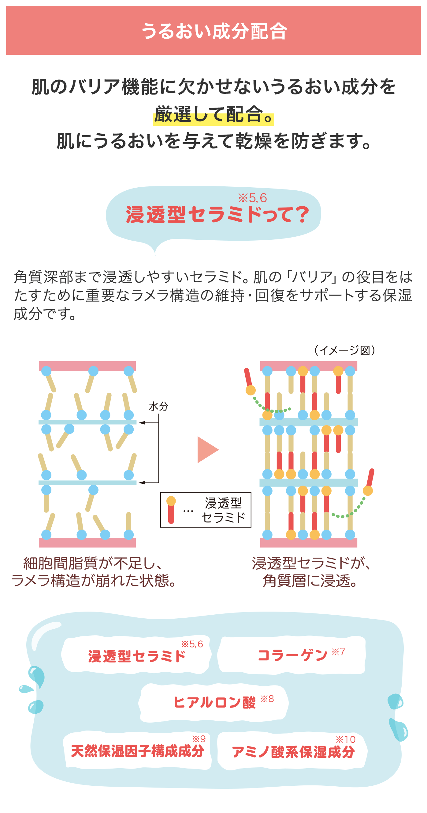 コラージュリペア化粧品|【公式】持田ヘルスケアのオンライン