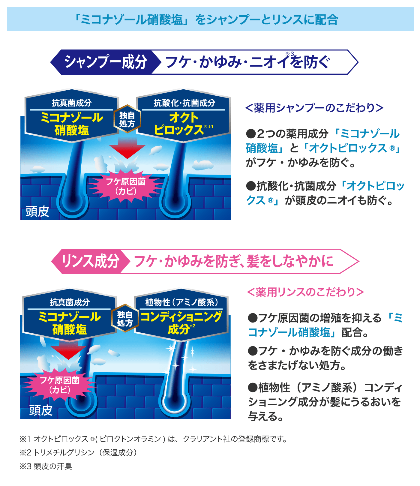 「ミコゾナール硝酸塩」をシャンプーとリンスに配合