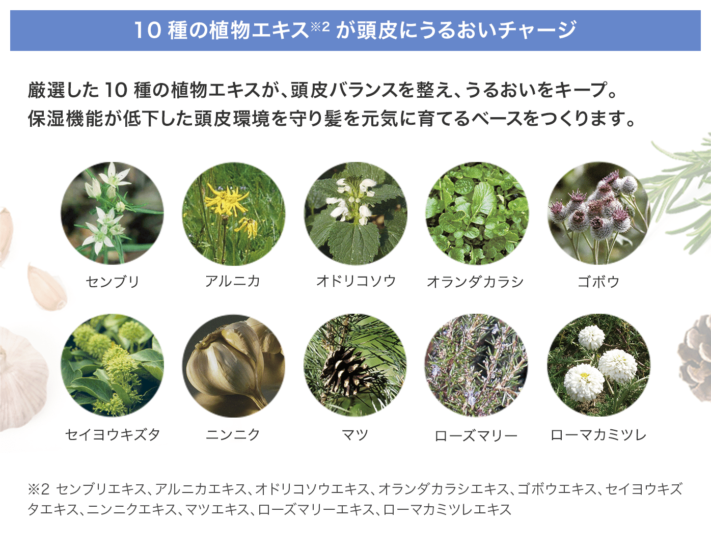 10種の植物エキス※2が頭皮にうるおいチャージ
