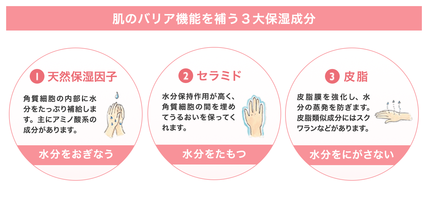 肌のバリア機能を補う3大保湿成分