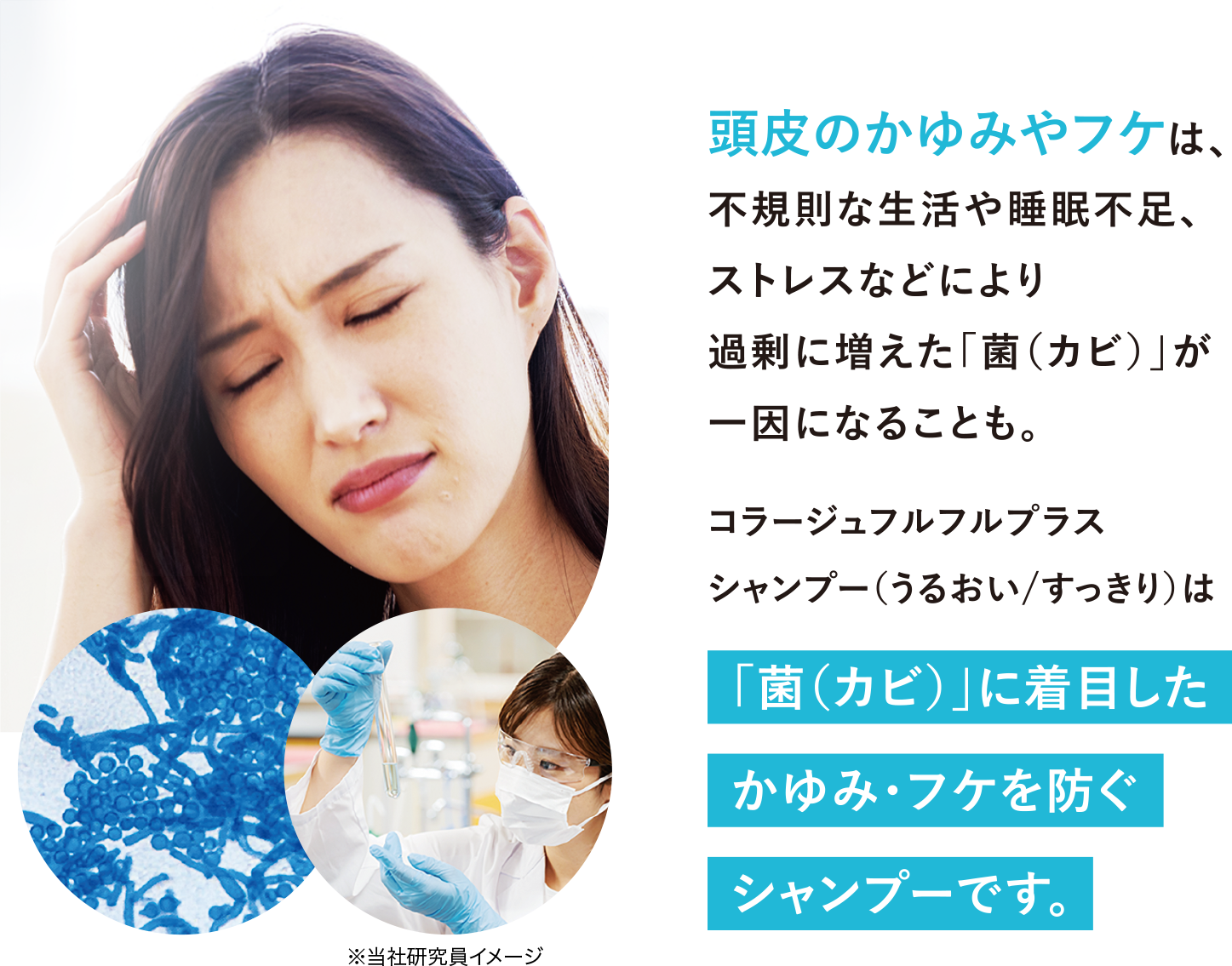 頭皮のかゆみやフケは、不規則な生活や睡眠不足、ストレスなどにより過剰に増えた「菌（カビ）」が一因になることも。コラージュフルフルプラスシャンプー（うるおい/すっきり）は「菌（カビ）」に着目したかゆみ・フケを防ぐシャンプーです。