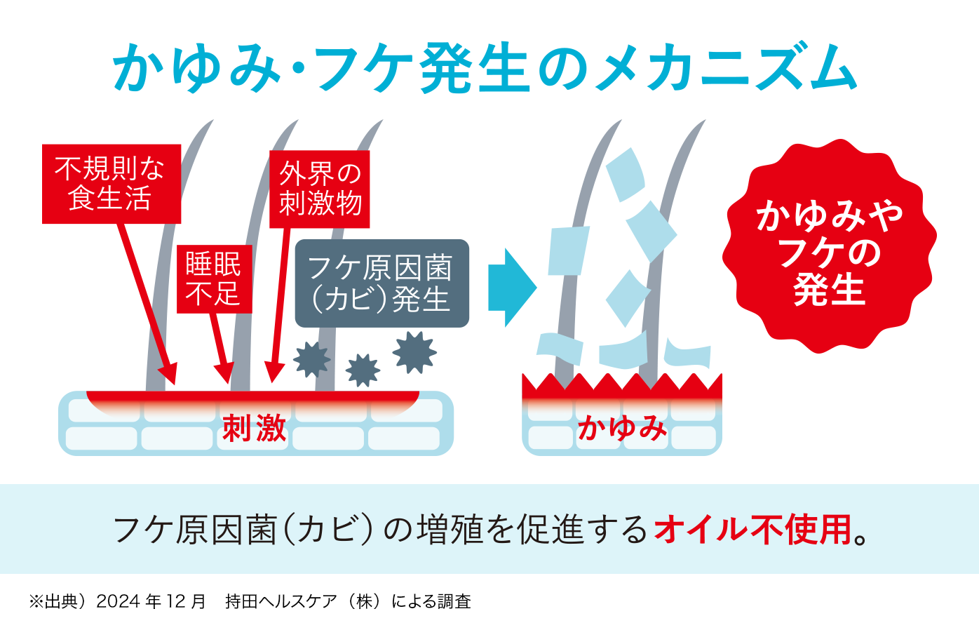 かゆみ・フケ発生のメカニズム