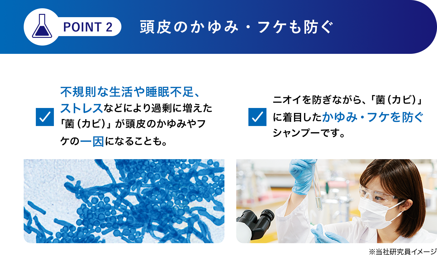 [POINT 2]頭皮のかゆみ・フケも防ぐ 不規則な生活や睡眠不足、ストレスなどにより過剰に増えた「菌（カビ）」が頭皮のかゆみやフケの一因になることも。ニオイを防ぎながら、「菌（カビ）」に着目したかゆみ・フケを防ぐシャンプーです。