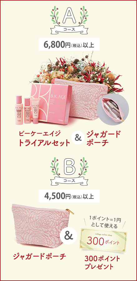 選べる・クリスマスキャンペーン