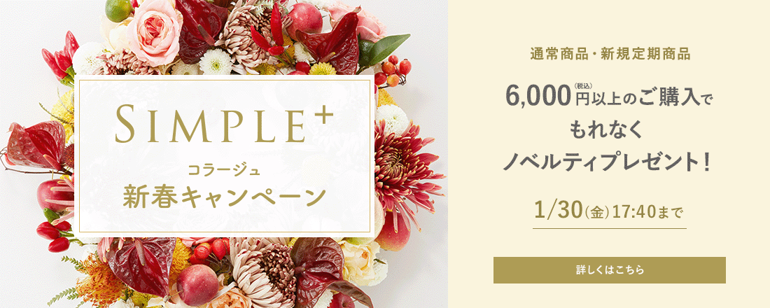 SIMPLE+ コラージュ新春キャンペーン 通常商品・新規定期商品 6,000円(税込)以上のご購入でもれなくノベルティプレゼント！ 1/30（金）17:40まで 詳しくはこちら