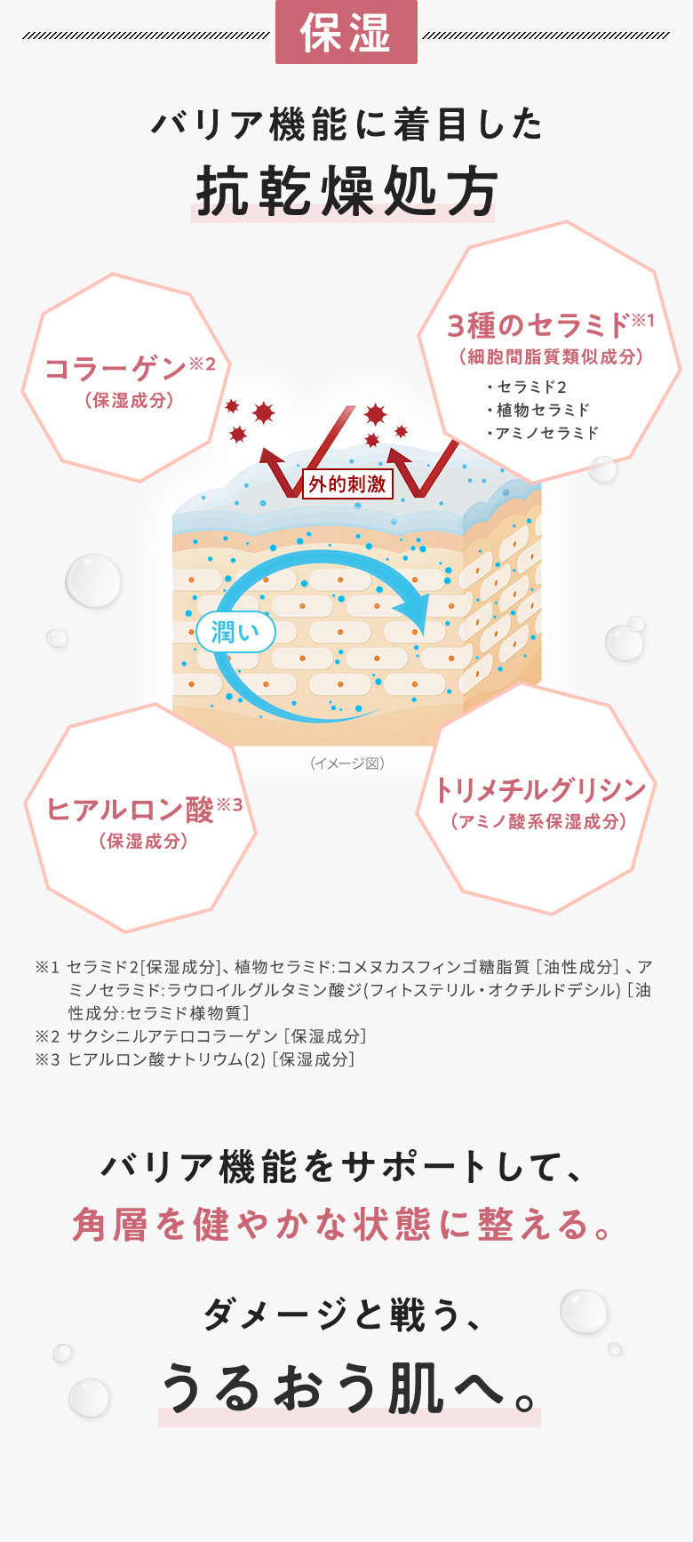 保湿：バリア機能に着目した抗乾燥処方