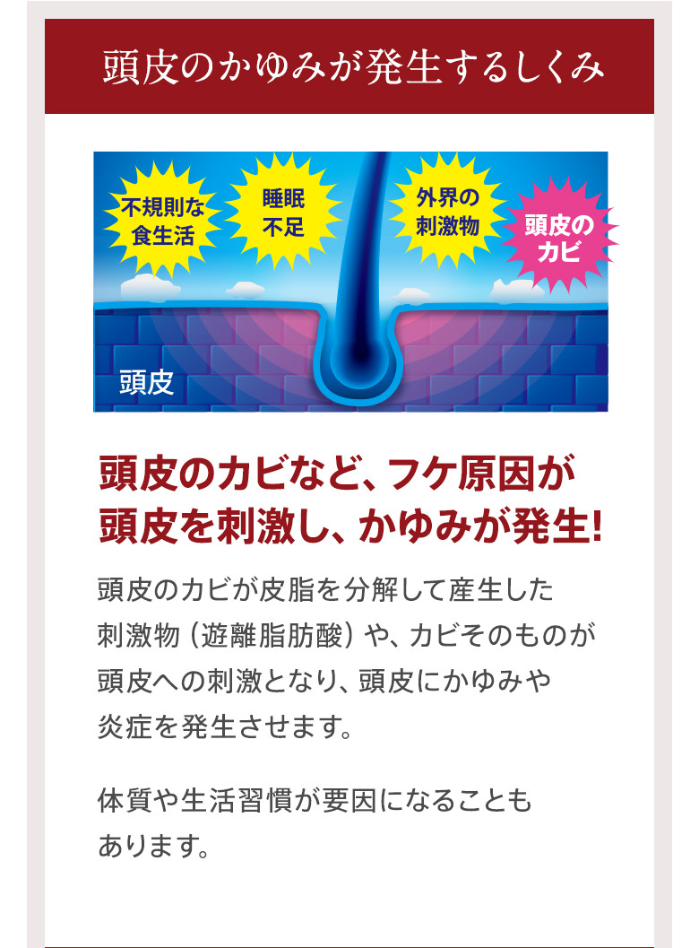 頭皮のかゆみが発生するしくみ