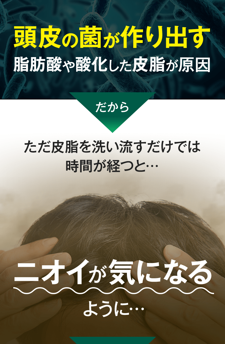 頭皮の菌が作り出す脂肪酸や酸化した皮脂が原因 だからただ皮脂を洗い流すだけでは時間経つと...ニオイが気になるように...