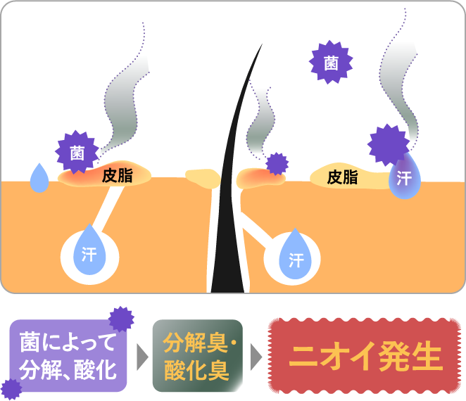 菌によって分解、酸化分解臭・酸化臭ニオイ発生