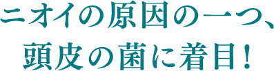 ニオイの原因の一つ、頭皮の菌に着目!