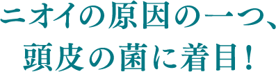 ニオイの原因の一つ、頭皮の菌に着目！