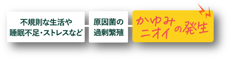 不規則な生活や睡眠不足・ストレスなど 原因菌の過剰繁殖 かゆみニオイの発生