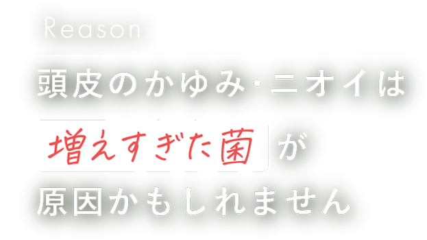 頭皮のかゆみ・ニオイは増えすぎた菌が原因かもしれません