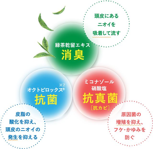 緑茶乾留エキス 消臭 オクトピロックス 抗菌 ミコナゾール酢酸塩 抗真菌[抗カビ]