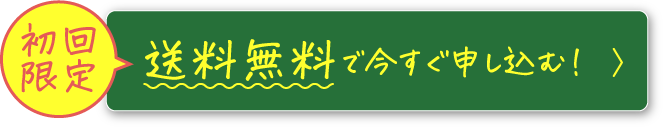 初回限定 送料無料で今すぐ申し込む