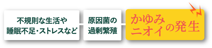不規則な生活や睡眠不足・ストレスなど 原因菌の過剰繁殖 かゆみニオイの発生