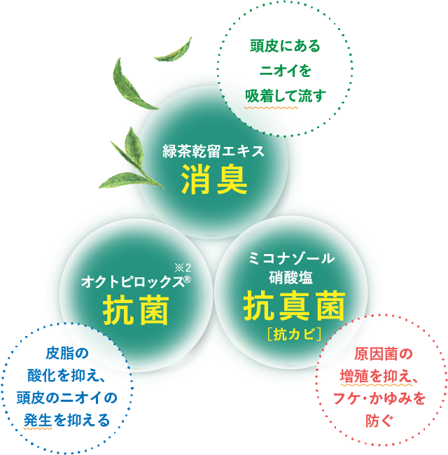 緑茶乾留エキス 消臭 オクトピロックス 抗菌 ミコナゾール酢酸塩 抗真菌[抗カビ]