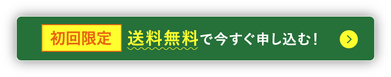 初回限定 送料無料で今すぐ申し込む