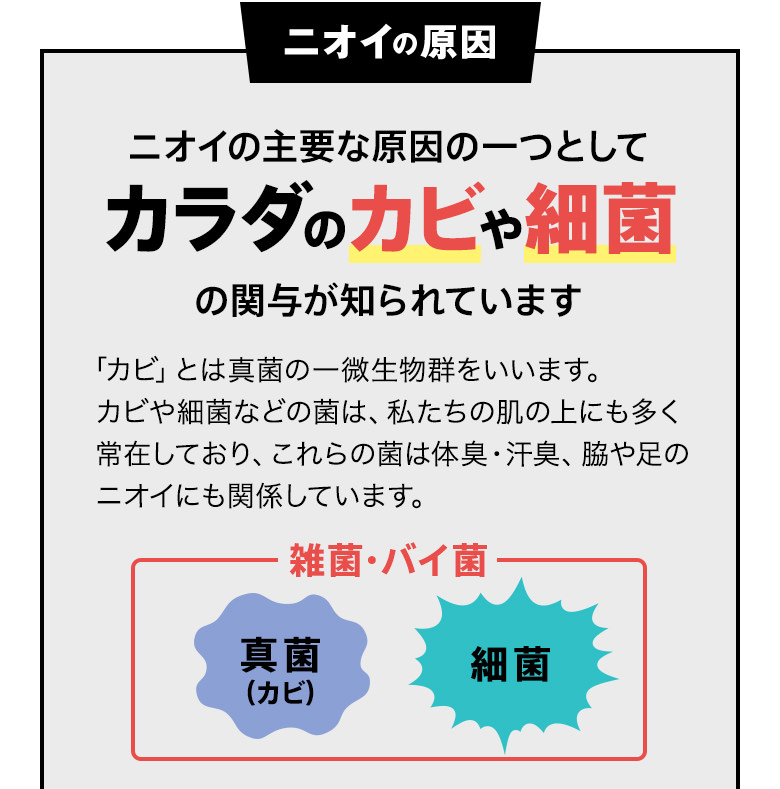 ニオイの原因　ニオイの主要な原因の一つとしてカラダのカビや最近の関与が知られています