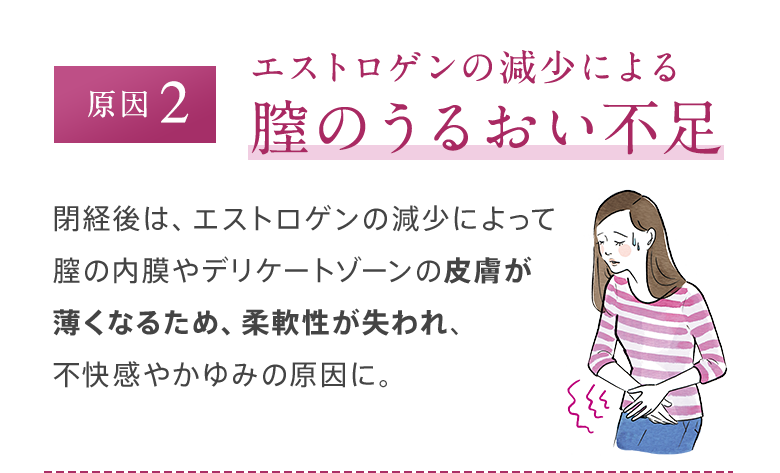 原因2 エストロゲンの減少による膣のうるおい不足 閉経後は、エストロゲンの減少によって膣の内膜やデリケートゾーンの皮膚が薄くなるため、柔軟性が失われ、不快感やかゆみの原因に。