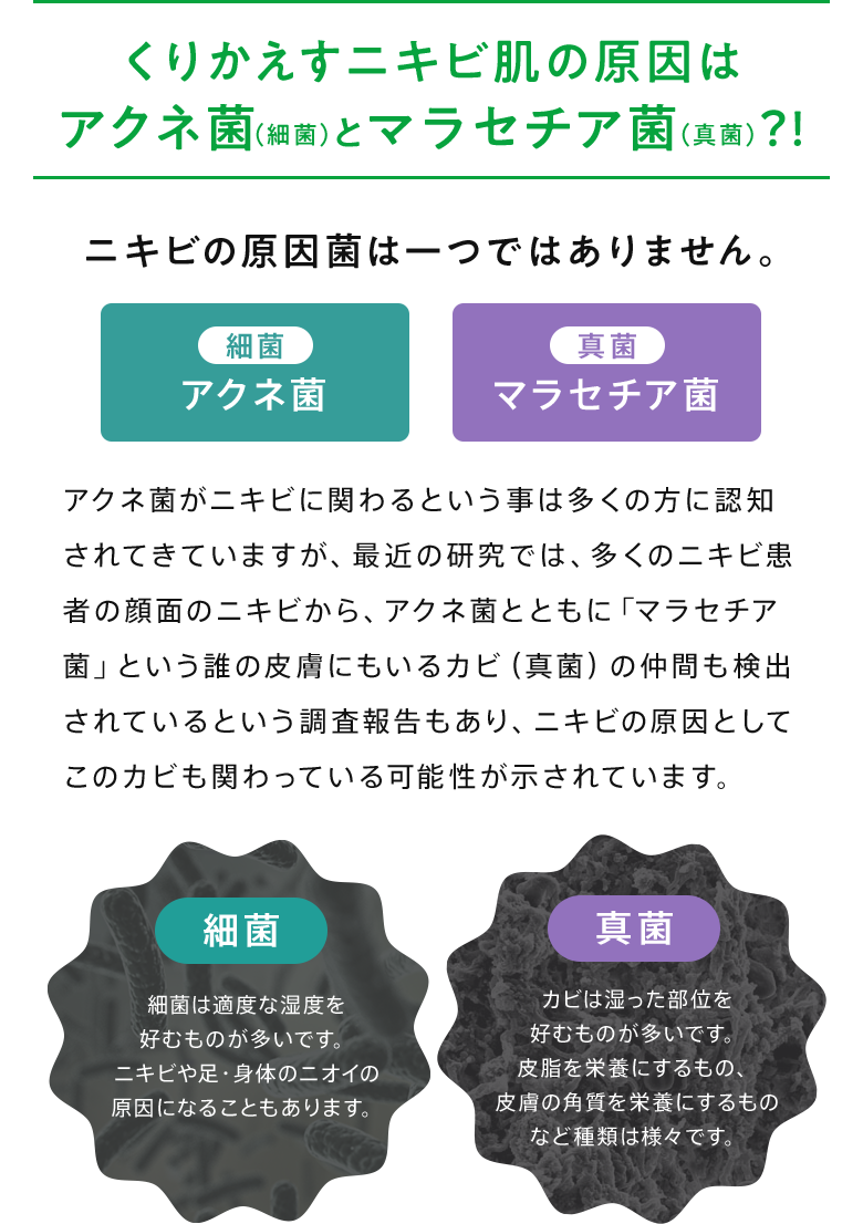 くりかえすニキビ肌の原因はアクネ菌（細菌）とマラセチア菌（真菌）？!