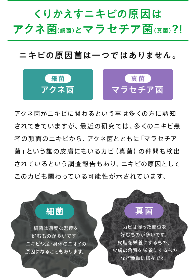 くりかえすニキビの原因はアクネ菌（細菌）とマラセチア菌（真菌）？!