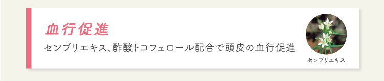 血行促進