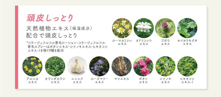 頭皮しっとり