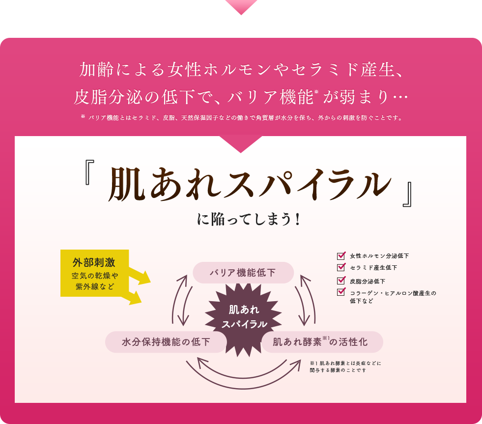 加齢による女性ホルモンやセラミド産生、皮脂分泌の低下で、バリア機能が弱まり… 『肌あれスパイラル』に陥ってしまう！