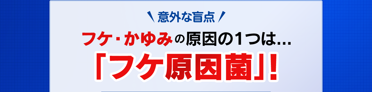 意外な盲点　フケ・かゆみの原因の１つは...「フケ原因菌」!