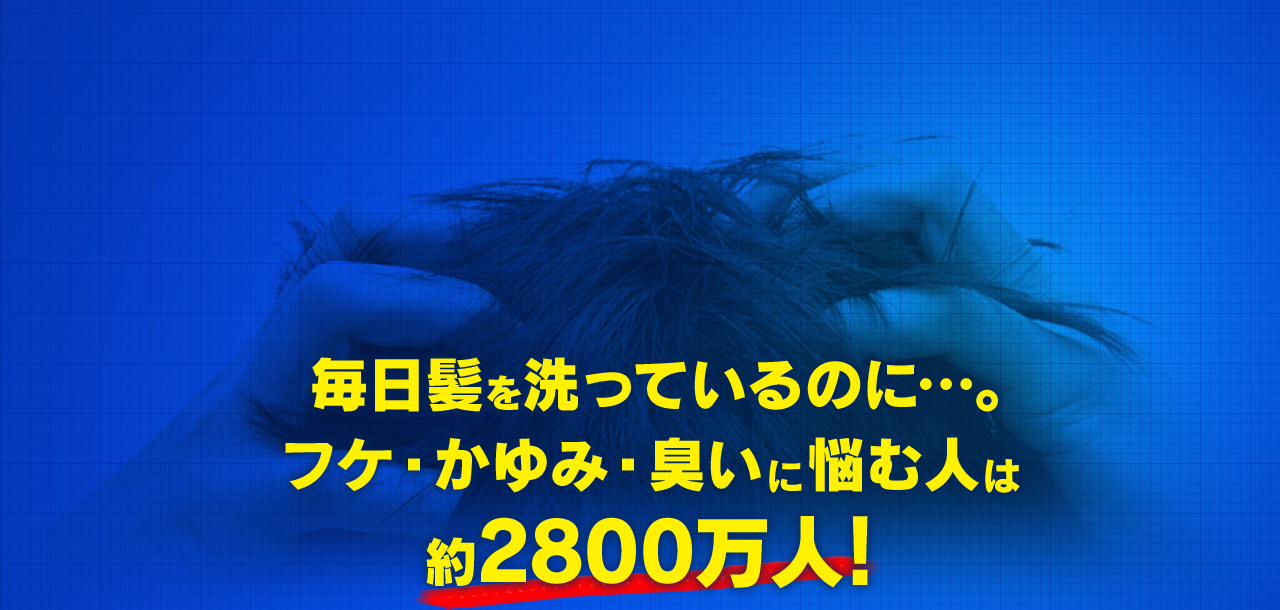   毎日髪を洗っているのに…。フケ・かゆみ・臭いに悩む人は約2800万人!