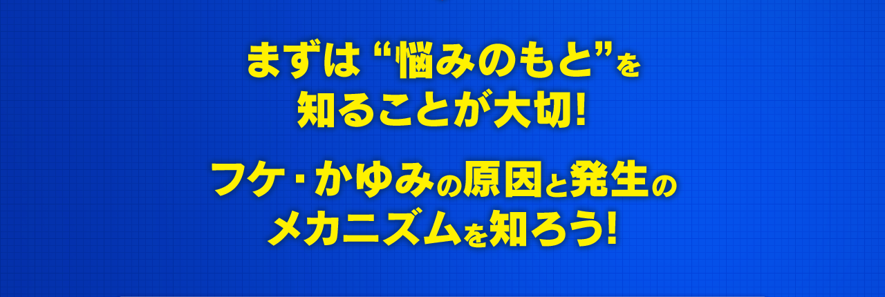 まずは“悩みのもと”を知ることが大切!フケ・かゆみの原因と発生のメカニズムを知ろう!