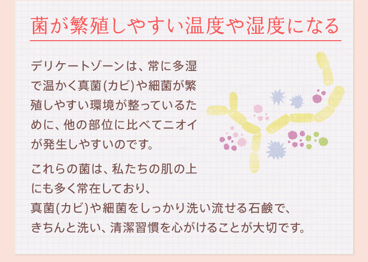 菌が繁殖しやすい温度や湿度になる