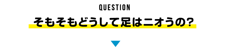 Question そもそもどうして足はニオうの？