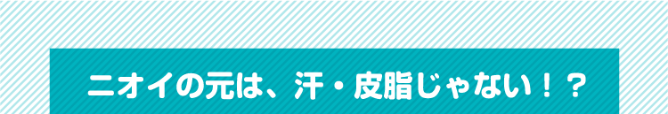 ニオイの元は、汗・皮脂じゃない！？