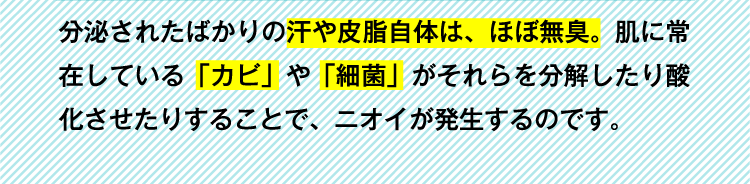 分泌されたばかりの汗や皮脂自体は、ほぼ無臭。肌に常在している「カビ」や「細菌」がそれらを分解したり酸化させたりすることで、ニオイが発生するのです。