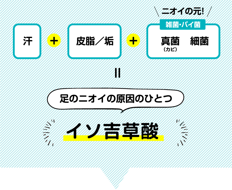 汗+皮脂／垢+真菌（カビ） 細菌※ニオイの元！ 雑菌・バイ菌 = 足のニオイの原因のひとつ イソ吉草酸