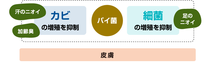 カビの増殖を抑制 バイ菌 細菌の増殖を抑制 皮膚