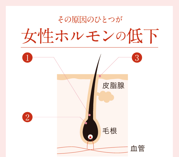 その原因のひとつが女性ホルモンの低下