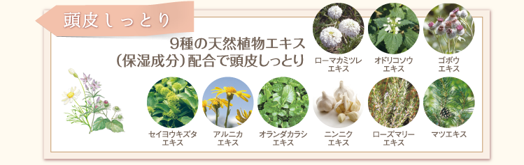 頭皮しっとり　9種の天然植物エキス（保湿成分）配合で頭皮しっとり　ローマカミツレエキス　オドリコソウエキス　ゴボウエキス　セイヨウキズタエキス　アルニカエキス　オランダカラシエキス　ニンニクエキス　ローズマリーエキス　マツエキス