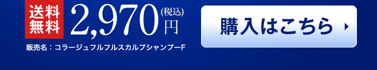 送料無料2,970円（税込）　購入はこちら