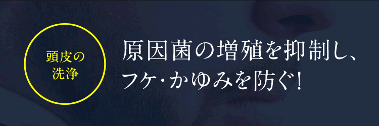 原因菌の増殖を抑制し、フケ・かゆみを防ぐ！